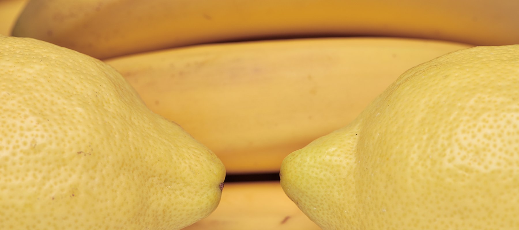 frisches Obst für die Tafel