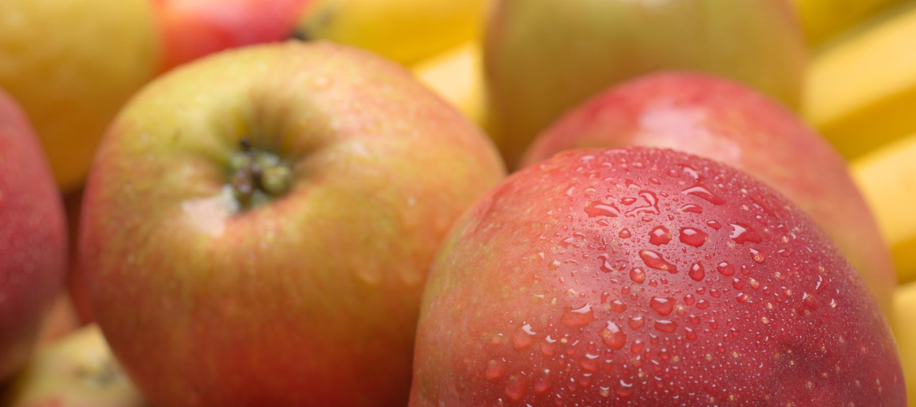 frische Äpfel für die Tafel